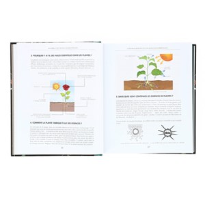 Ma bible des huiles essentielles Luxe