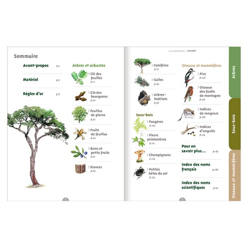 Champignons des forêts – Les petits livres de la nature - e-Librairie  Forêt.Nature/Salamandre