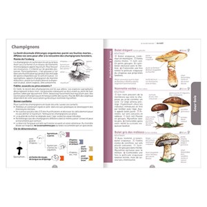 Le guide nature En forêt