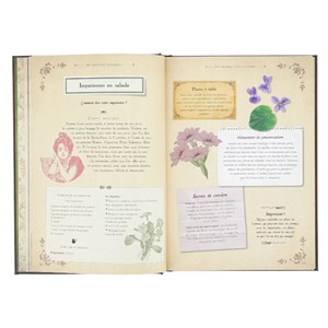Grimoire de sorcières