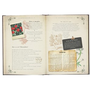 Grimoire de sorcières