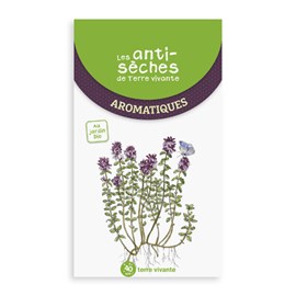 Les antisèches des plantes aromatiques