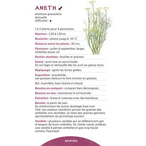 Les antisèches des plantes aromatiques
