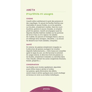 Les antisèches des plantes aromatiques