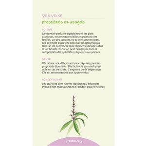 Les antisèches des plantes aromatiques