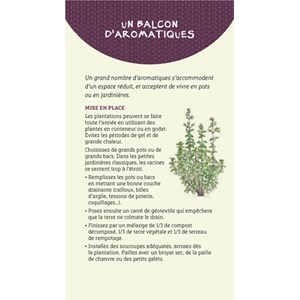 Les antisèches des plantes aromatiques