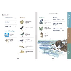 Le guide nature à la mer