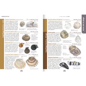 Le guide nature à la mer