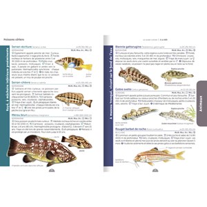 Le guide nature à la mer