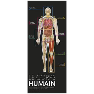 Le grand guide visuel du corps humain