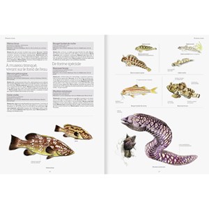 Le grand livre de la nature