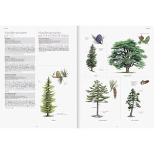 Le grand livre de la nature
