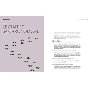 Encyclopedie du chat soigneur