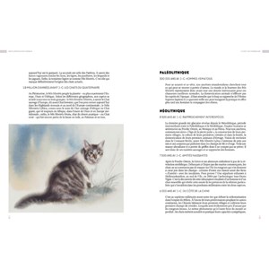 Encyclopedie du chat soigneur