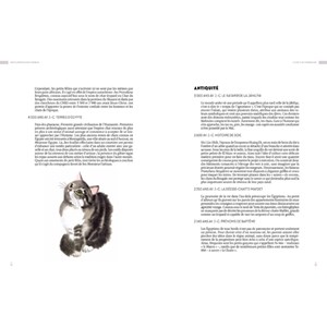 Encyclopedie du chat soigneur