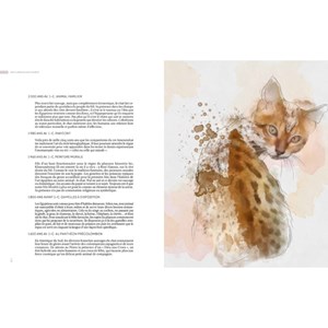 Encyclopedie du chat soigneur