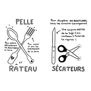 Comment avoir des plantes gratuites