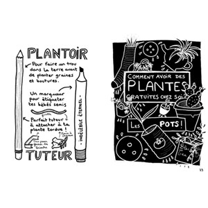 Comment avoir des plantes gratuites
