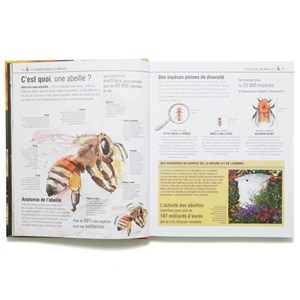 Le petit Larousse des abeilles