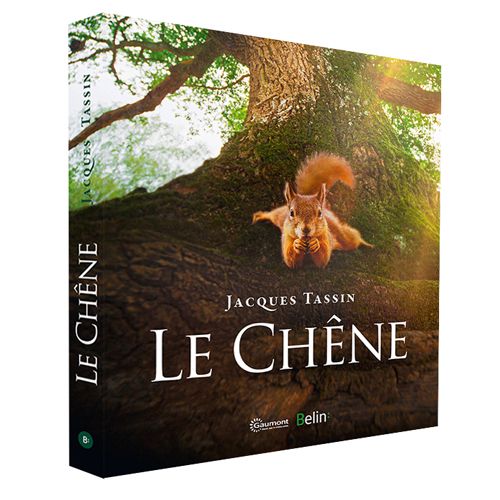 Le Chêne raconté par ses habitants Nature & Découvertes Le Chêne raconté par ses habitants Nature & Découvertes
