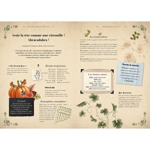 Le nouveau grimoire de sorcière