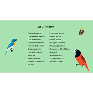 Reconnaître chants des oiseaux du jardin