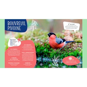 Reconnaître chants des oiseaux du jardin