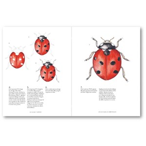 Merveilles de la nature à l'aquarelle
