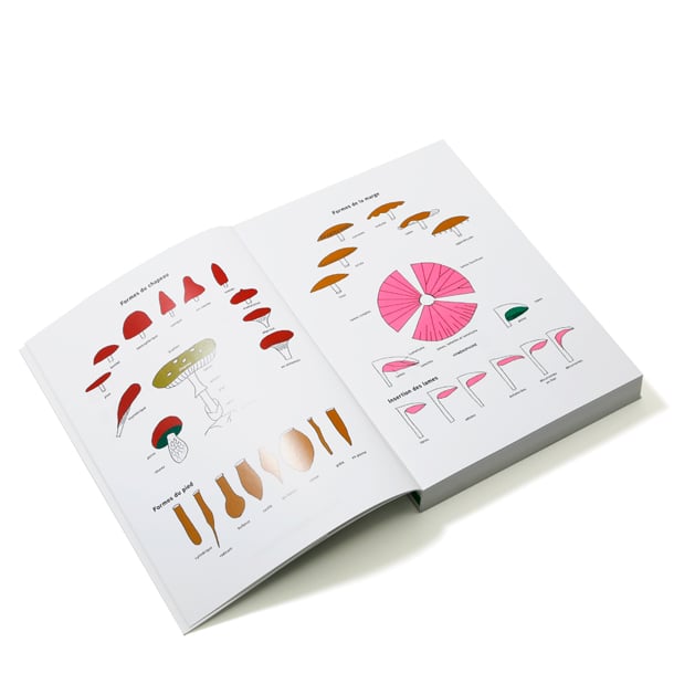 Le grand livre des champignons (édition 2024) : Cécile Lemoine,Guillaume  Eyssartier - 273738902X - Livres Jardin - Nature