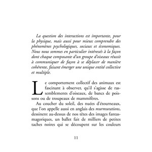 Comme un vol d’étourneaux