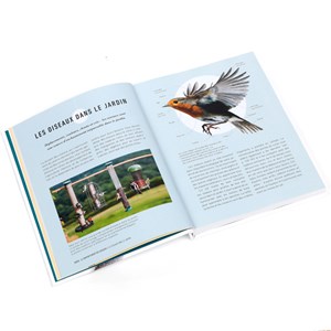 Attirer les oiseaux dans son jardin