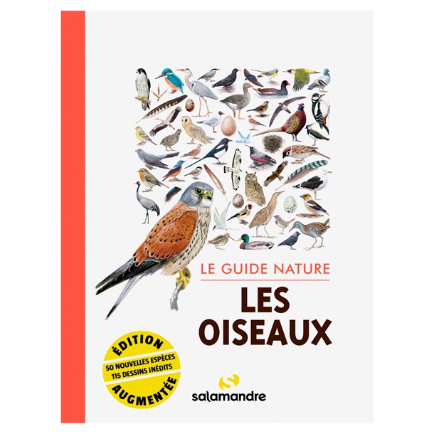 Editions La Salamandre - Le guide nature - Les oiseaux