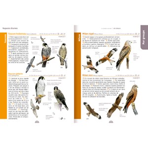 Le guide nature - Les oiseaux