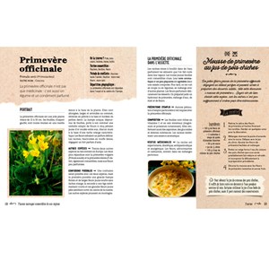 Plantes sauvages comestibles