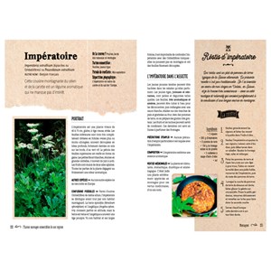 Plantes sauvages comestibles