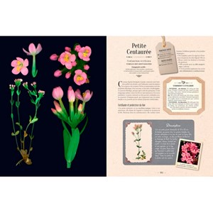 L'Herbier des plantes qui guérissent