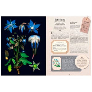 L'Herbier des plantes qui guérissent