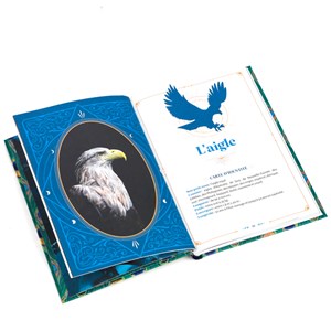 Les messages des oiseaux