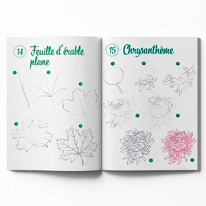 300 modèles à dessiner en pas à pas