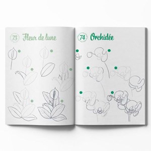 300 modèles à dessiner en pas à pas