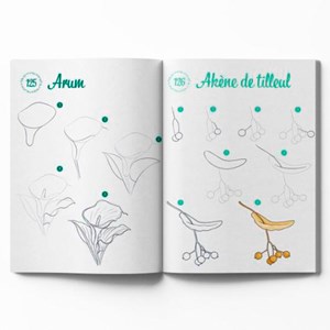 300 modèles à dessiner en pas à pas