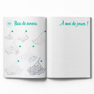 300 modèles à dessiner en pas à pas