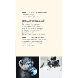 Absolument chat !