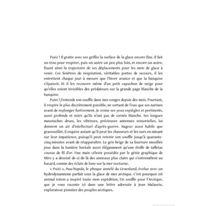 Femmes d'aventures