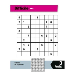 L'année à bloc : passion Sudoku