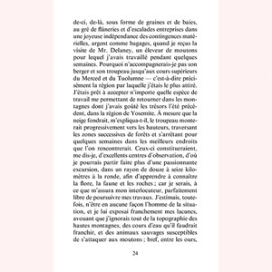 Un été dans la Sierra