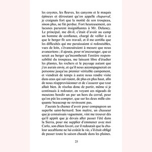 Un été dans la Sierra