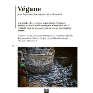 Contre courant