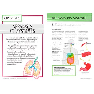 Les bases de l'anatomie illustrées