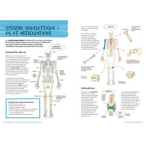 Les bases de l'anatomie illustrées